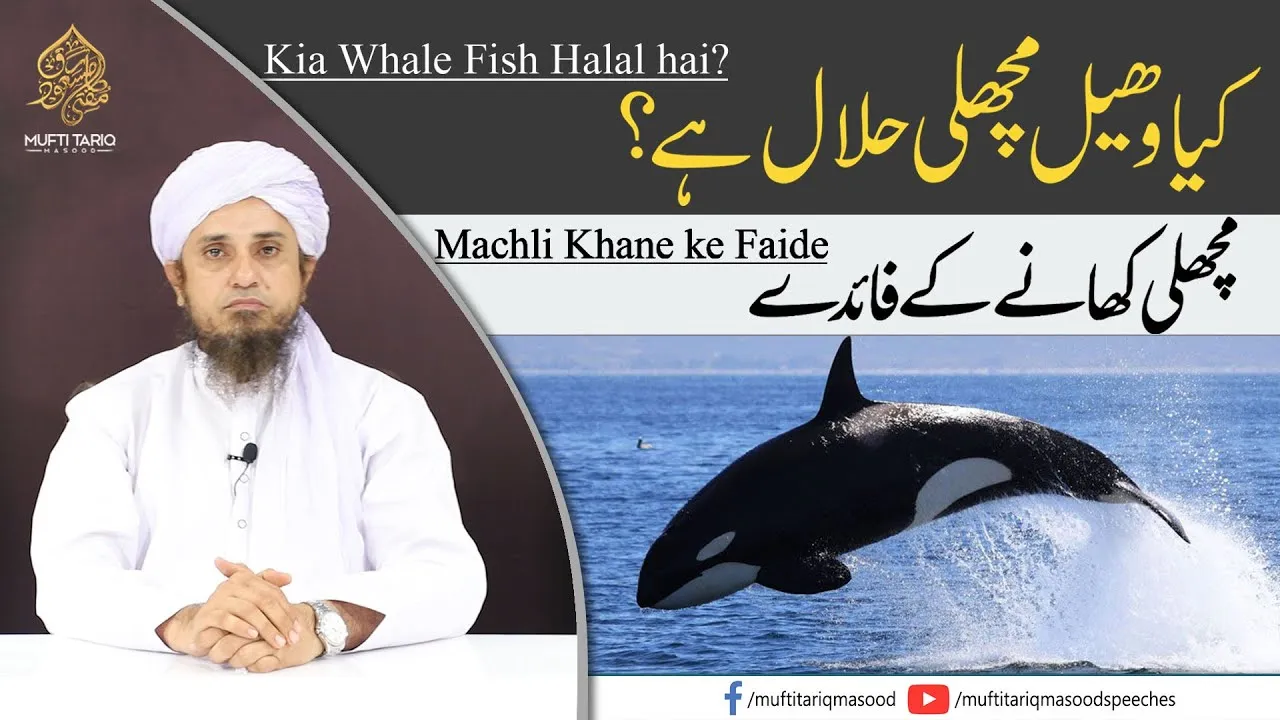 Machli Khane ke Faide | Mufti Tariq Masood Speeches